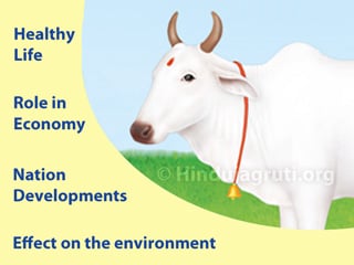 Importance_of_bharatiya_cow